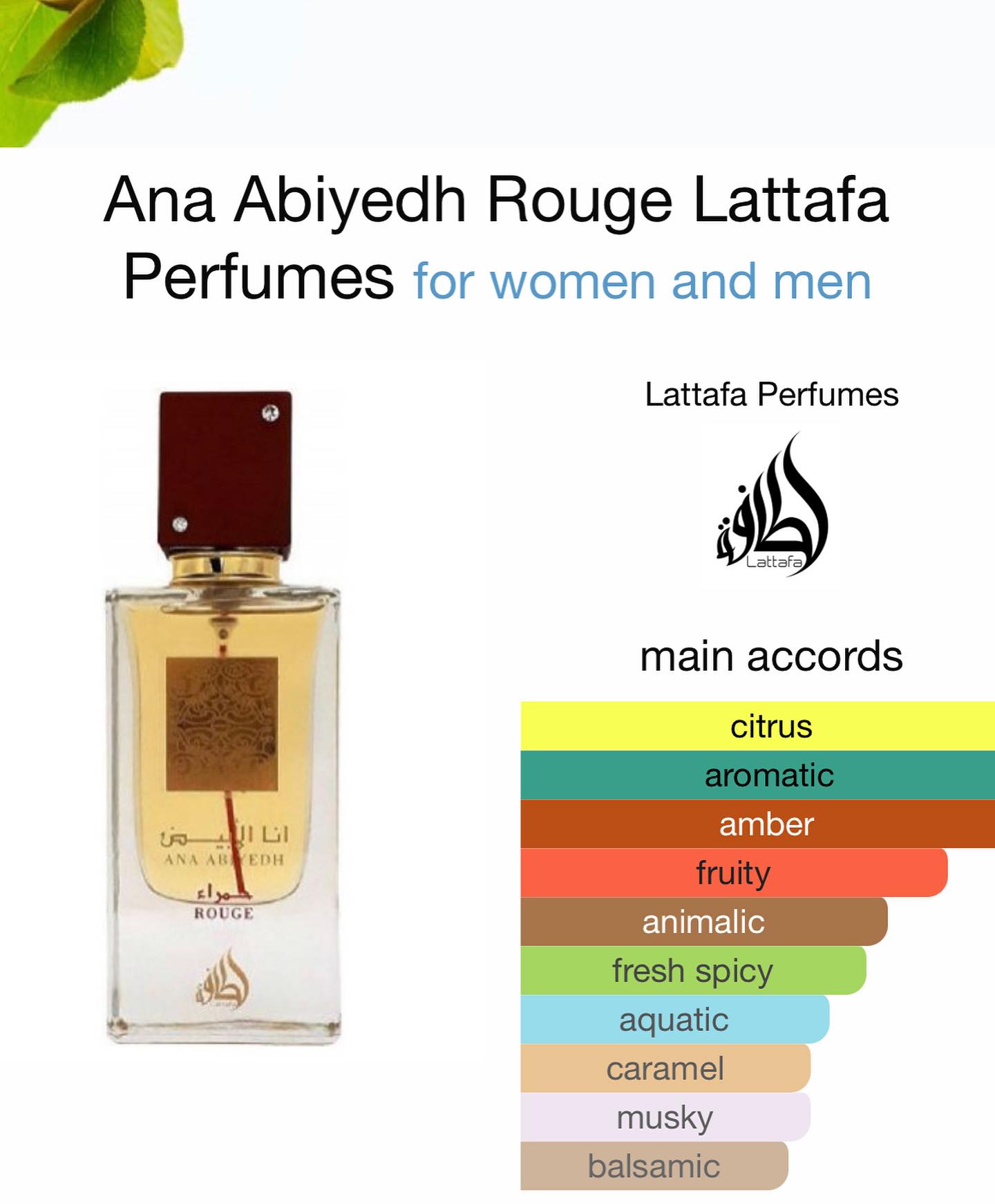 LATTAFA ANA ABIYEDH ROUGE